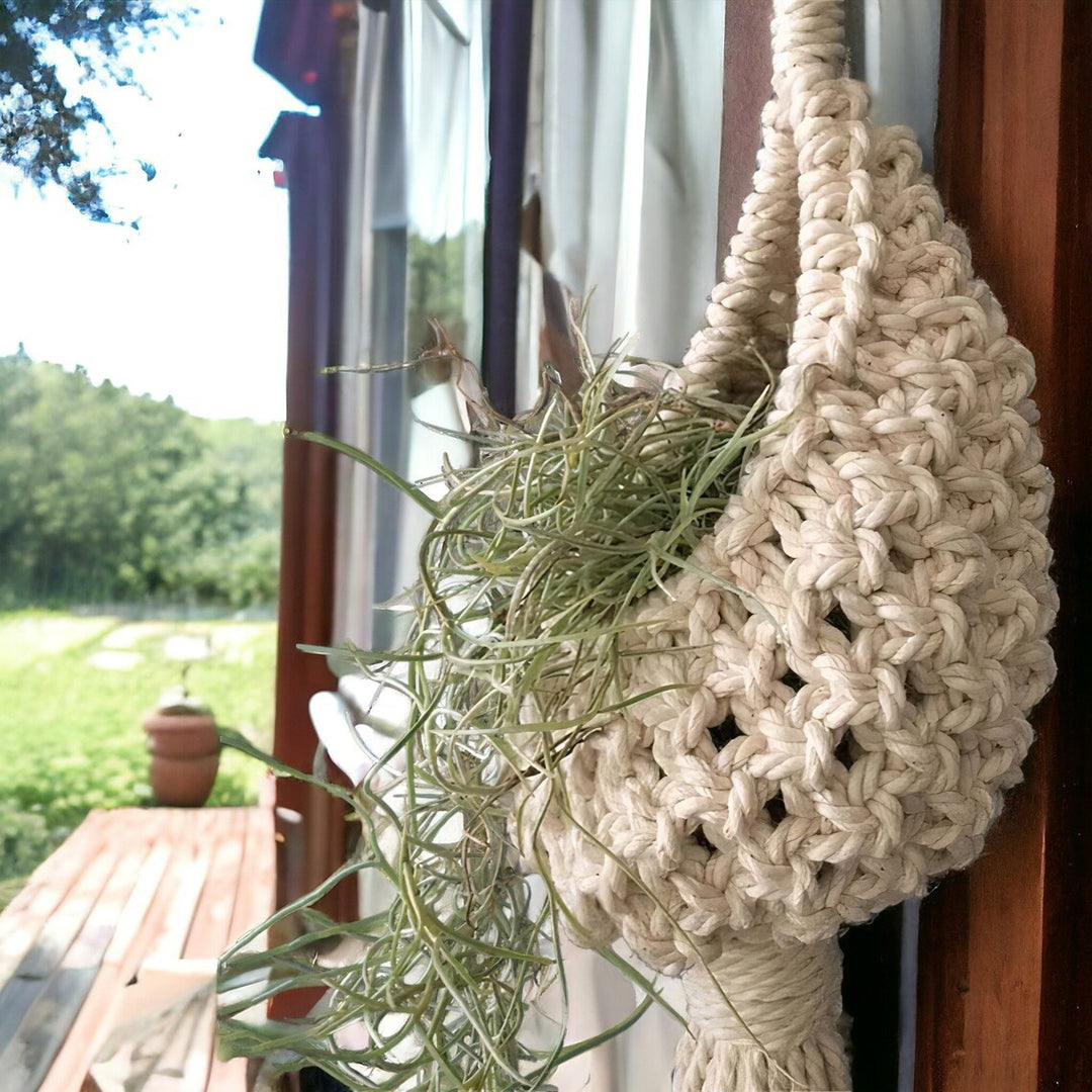 Macrame Hanging Planter
