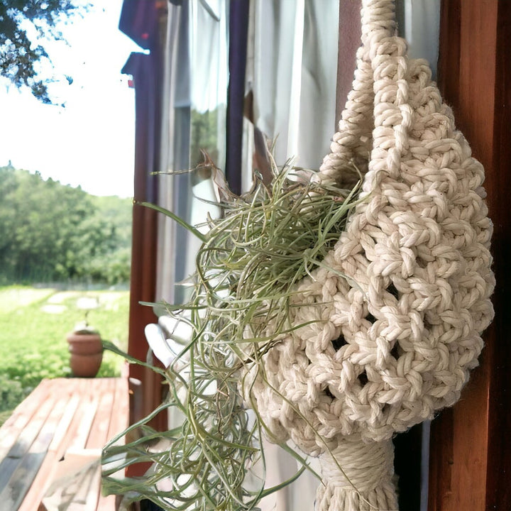 Macrame Hanging Planter
