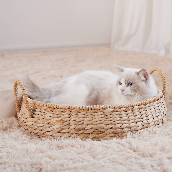Cozy Cat Bed