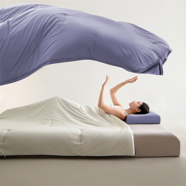 Luxurious Hypoallergenic Comforter Set