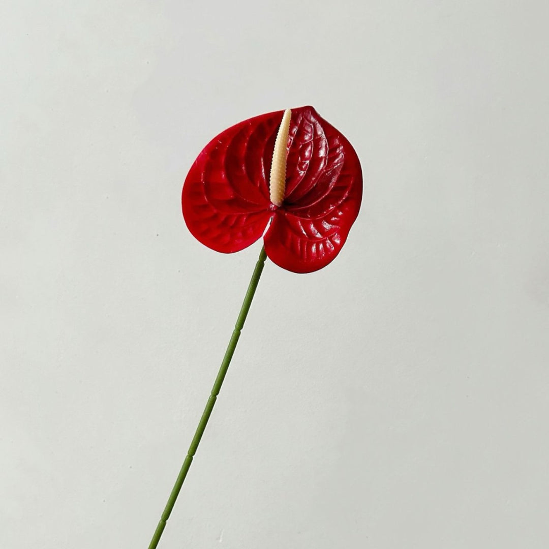 Elegant Orchid Floral Stem