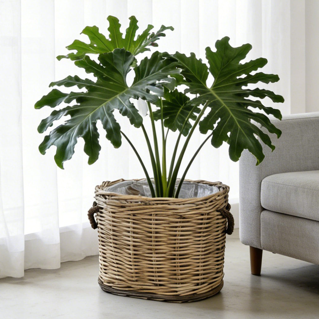 Rustic laundry basket with decorative handles