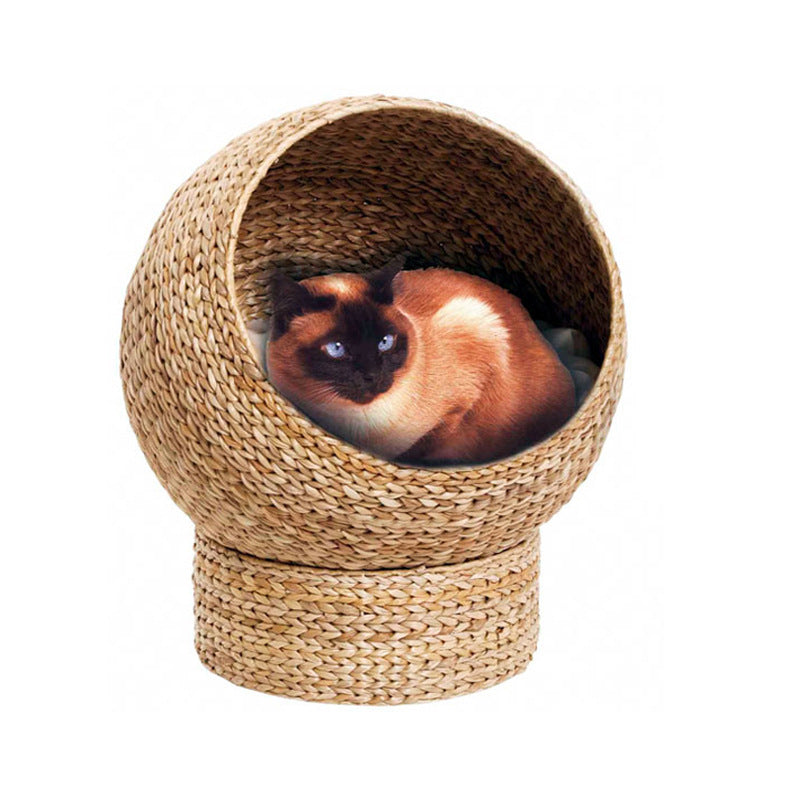 Katzenkuhle