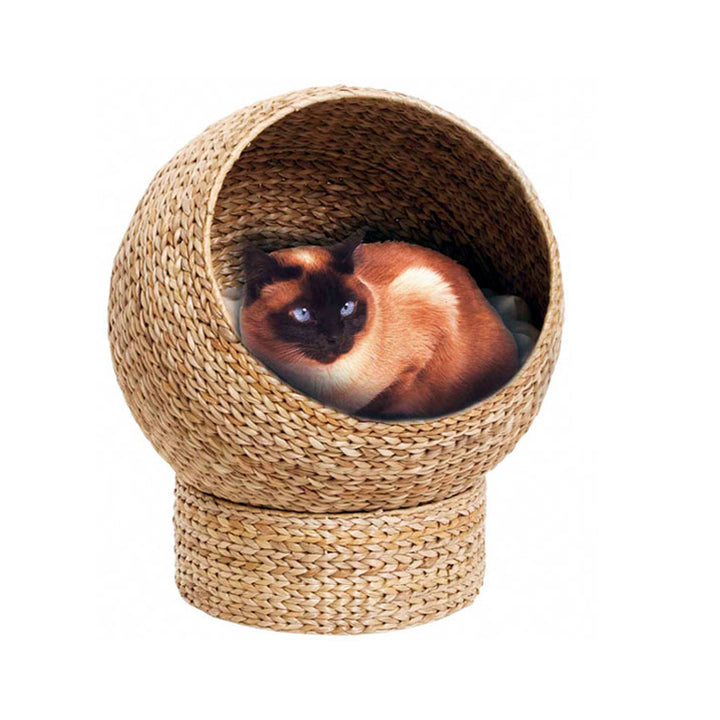 Katzenkuhle