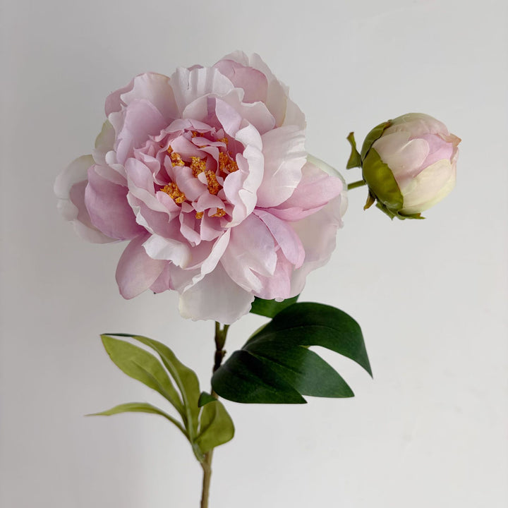 Realistic Peony Floral Stem for Flower Arrangements