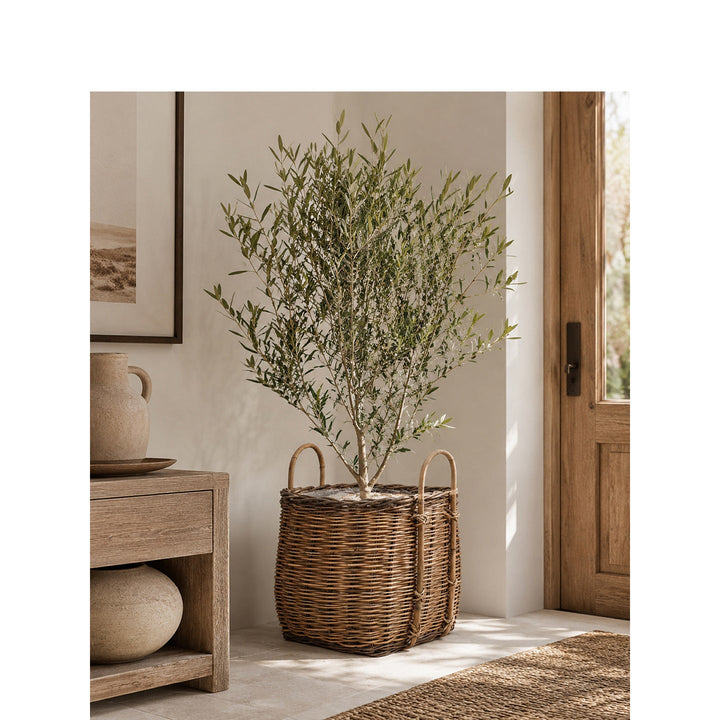 Robust basket with lid and practical handle