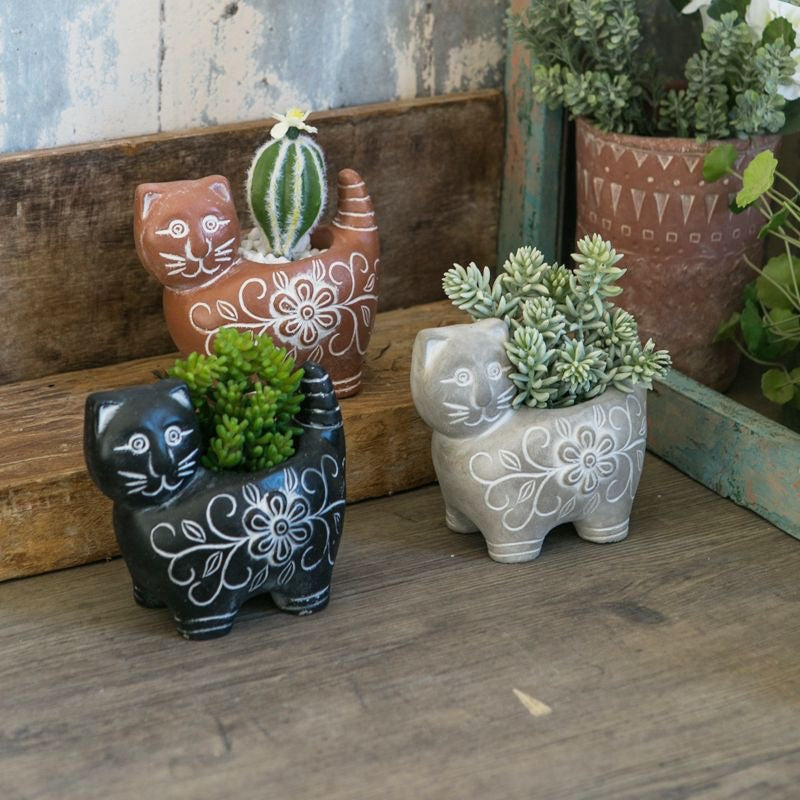 Decorative Plant