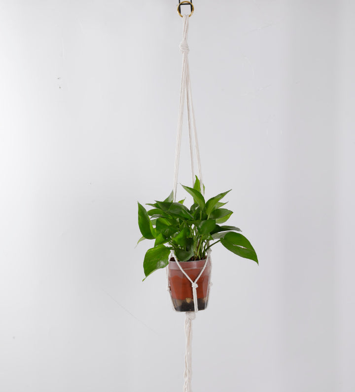 Macramé plant hanging hooks