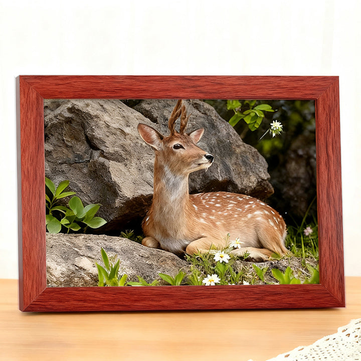 Minimalist Decorative Photo Frame