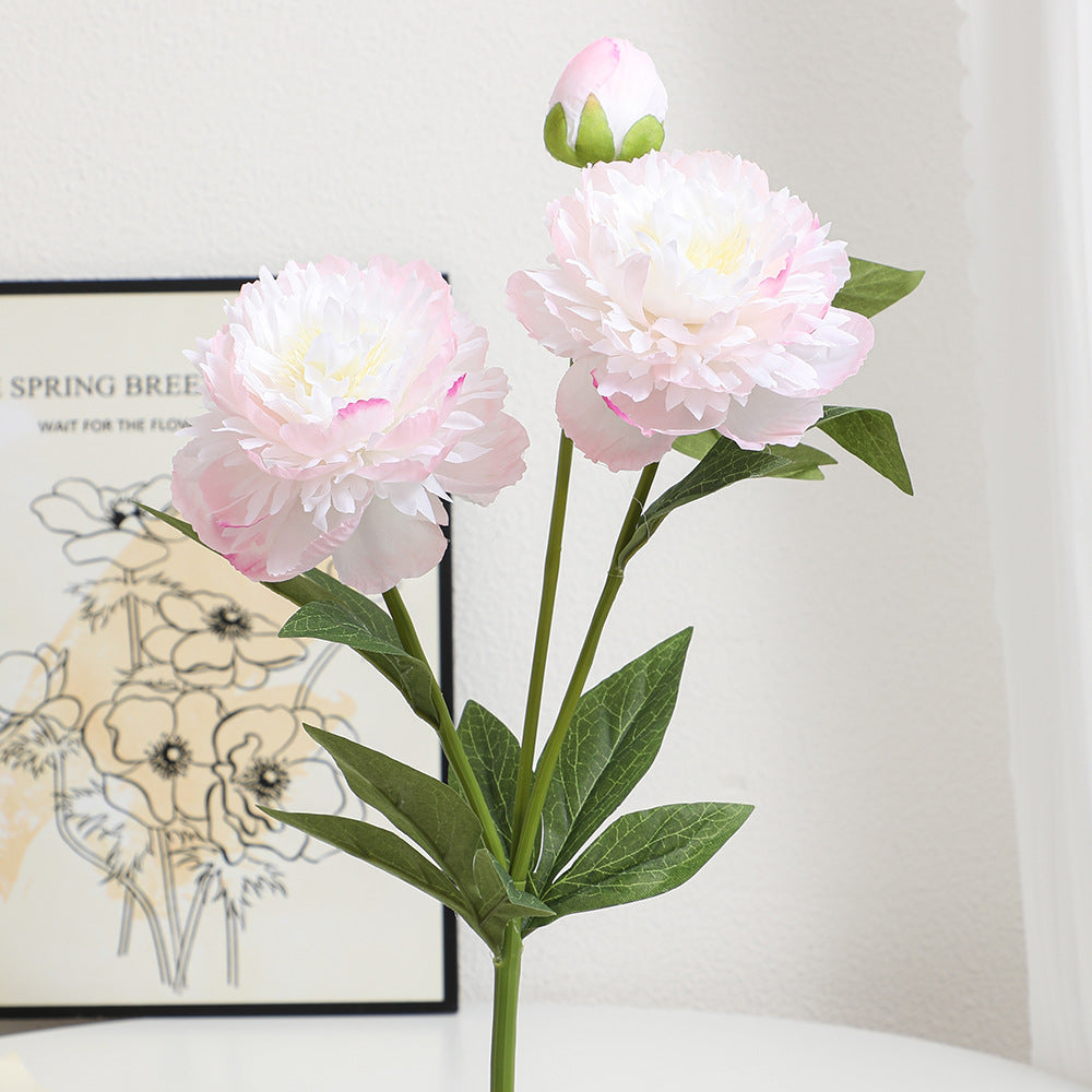 Realistic Art Peony