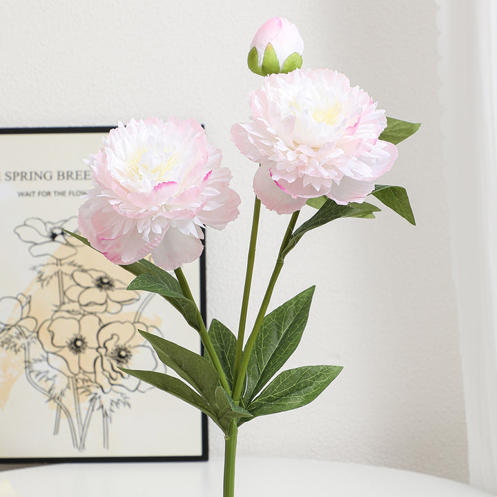Realistic Art Peony