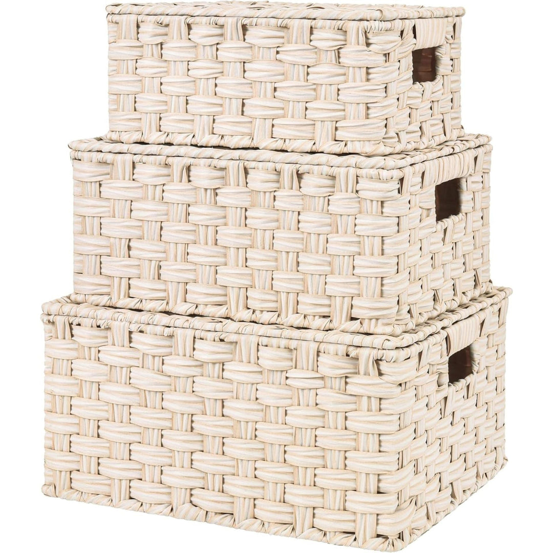 Handwoven Storage Baskets Set
