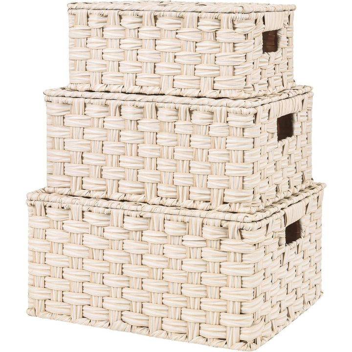 Handwoven Storage Baskets Set