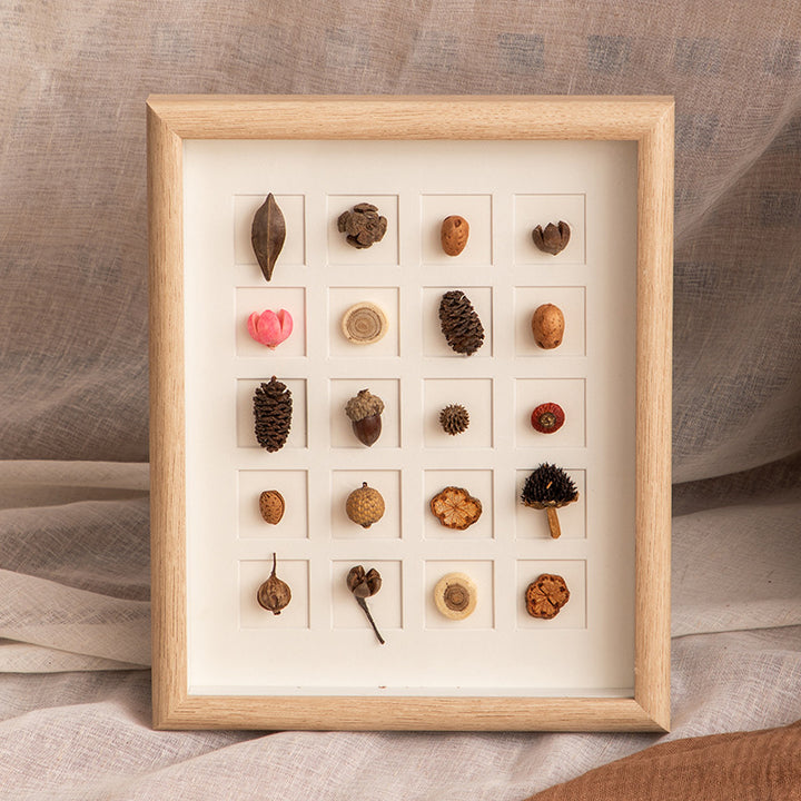 Botanical Specimen Display Frame