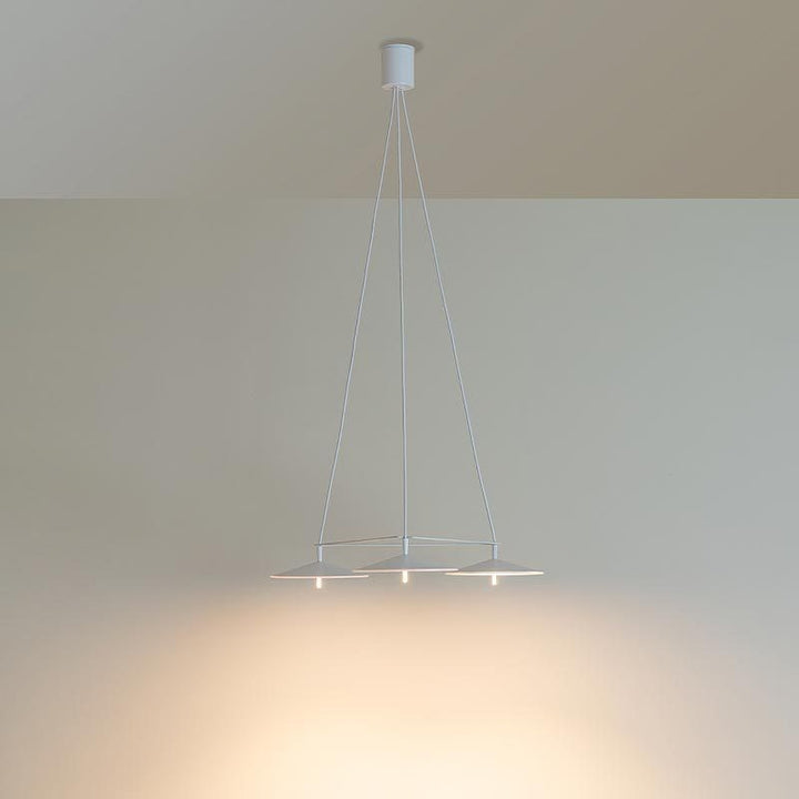 Modern Curves Pendant Light