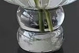 Contemporary Glass Floral Display