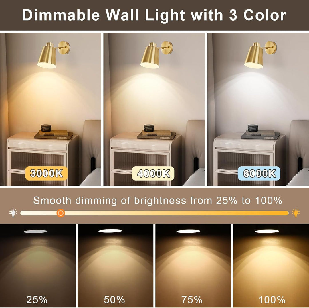 Modern Pendant Light