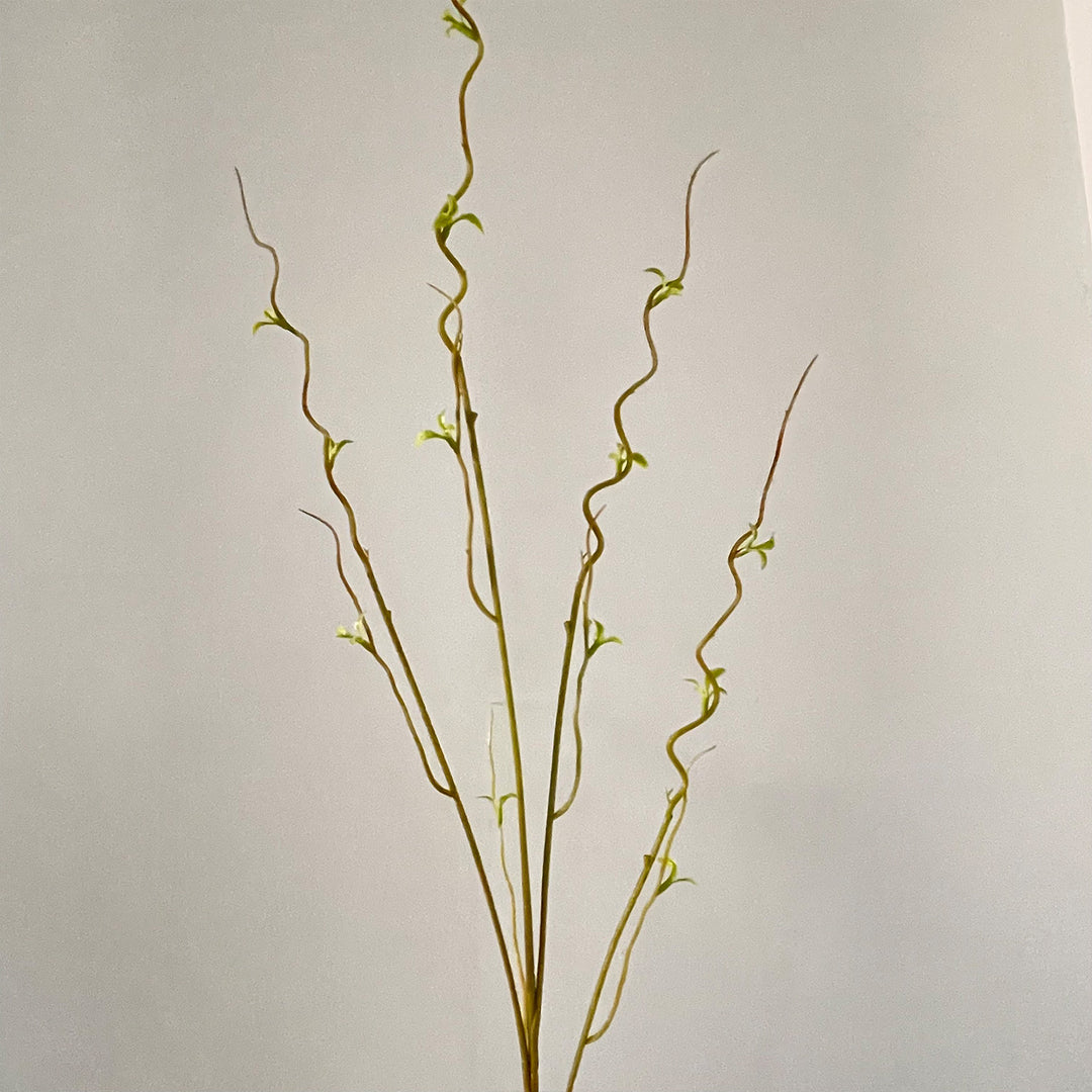 Decorative Twisted Branch Arrangement