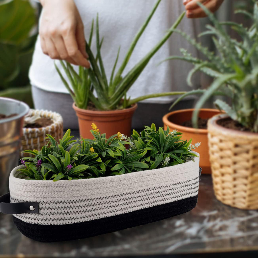 Decorative Storage