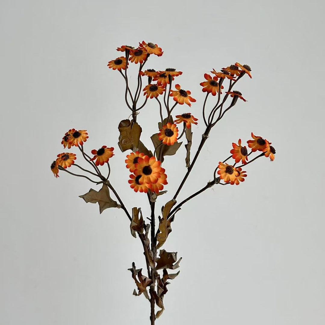 Decorative Dried Flowers