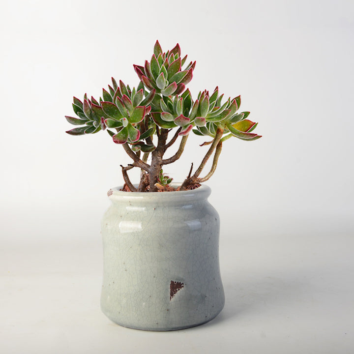 decorative storage pot