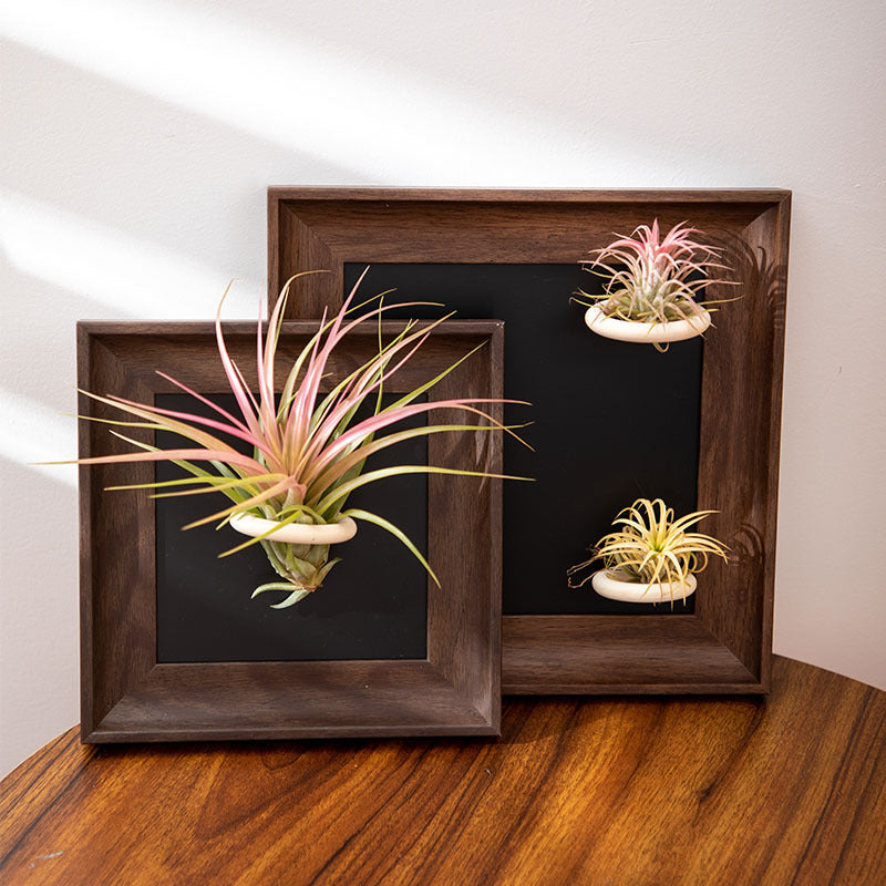Wall Art for Home Decoration