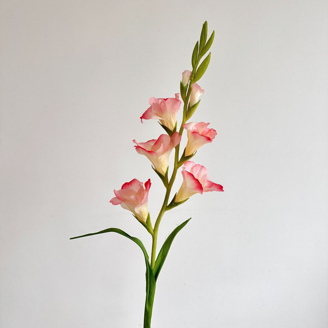 Elegant Gladiolus Floral Stem