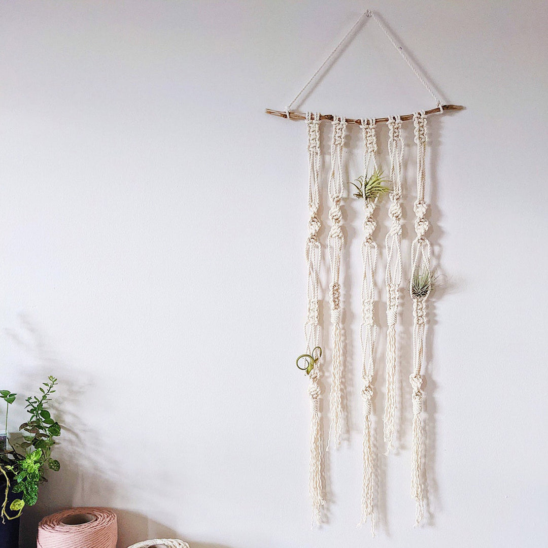 Macrame Plant Wall Hanging Organizer
