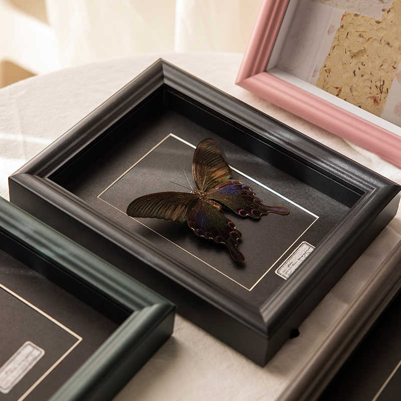 Decorative Butterfly Art Frame for Home Decor