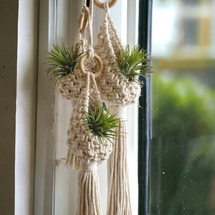 Macrame Hanging Planter