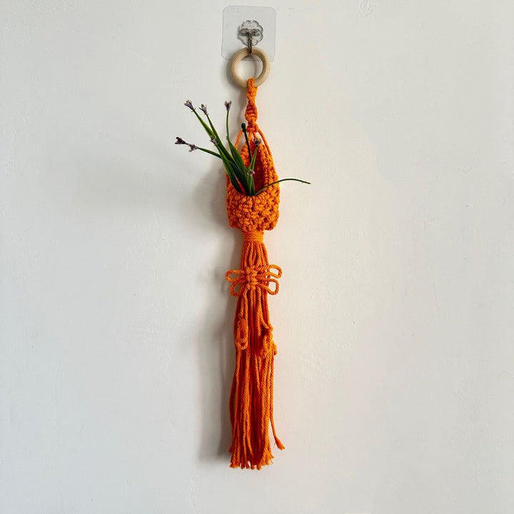 Macrame Plant Hanger with Decorative Tassels