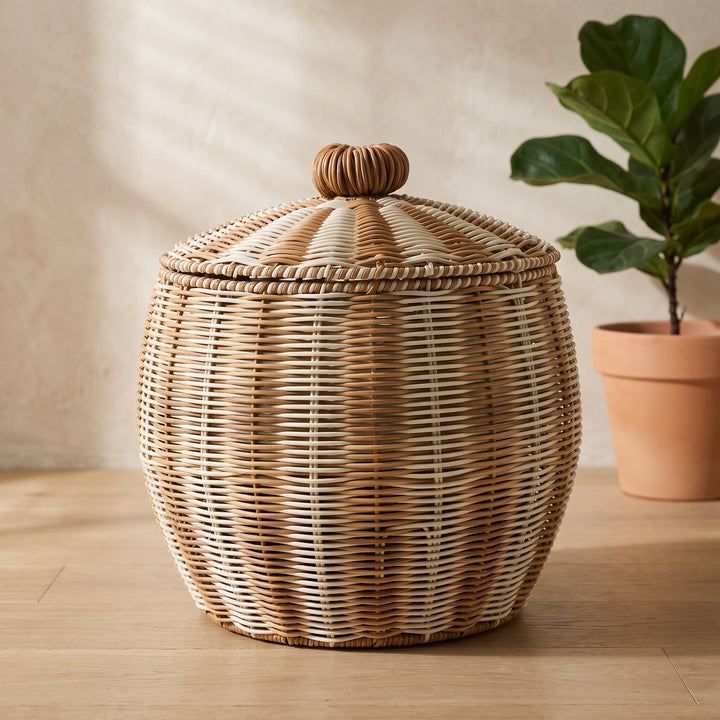 Stylish basket with lid