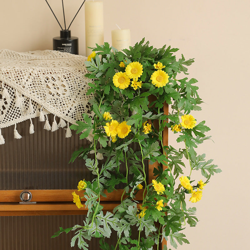 Hanging Decorative Plant