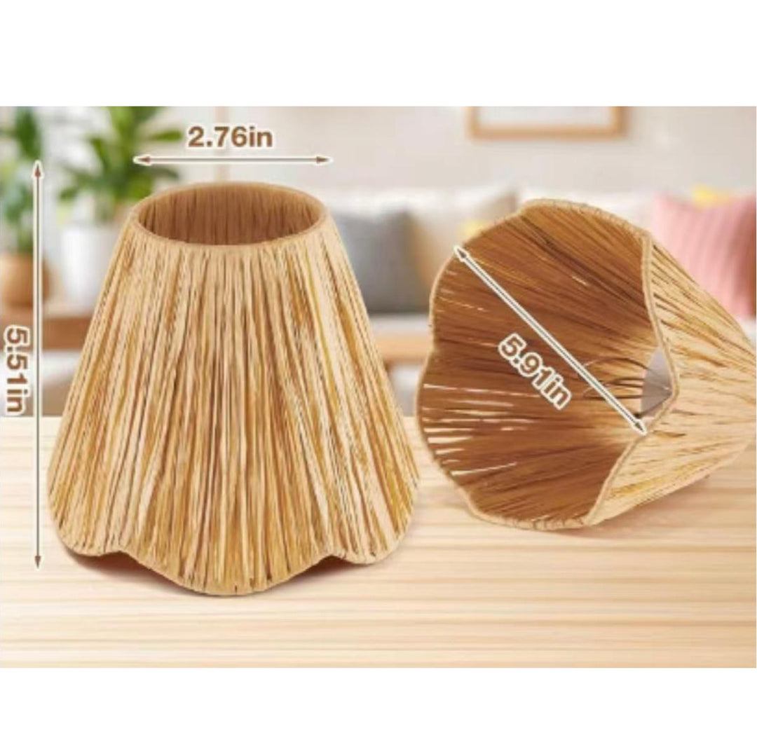 Decorative lampshade with modern design