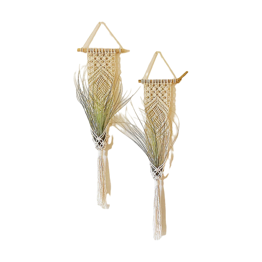 Macrame Wall Hanging Plant Holder