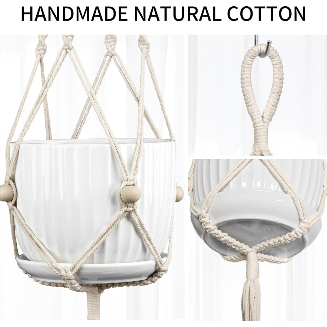 Plant Hanging Pot