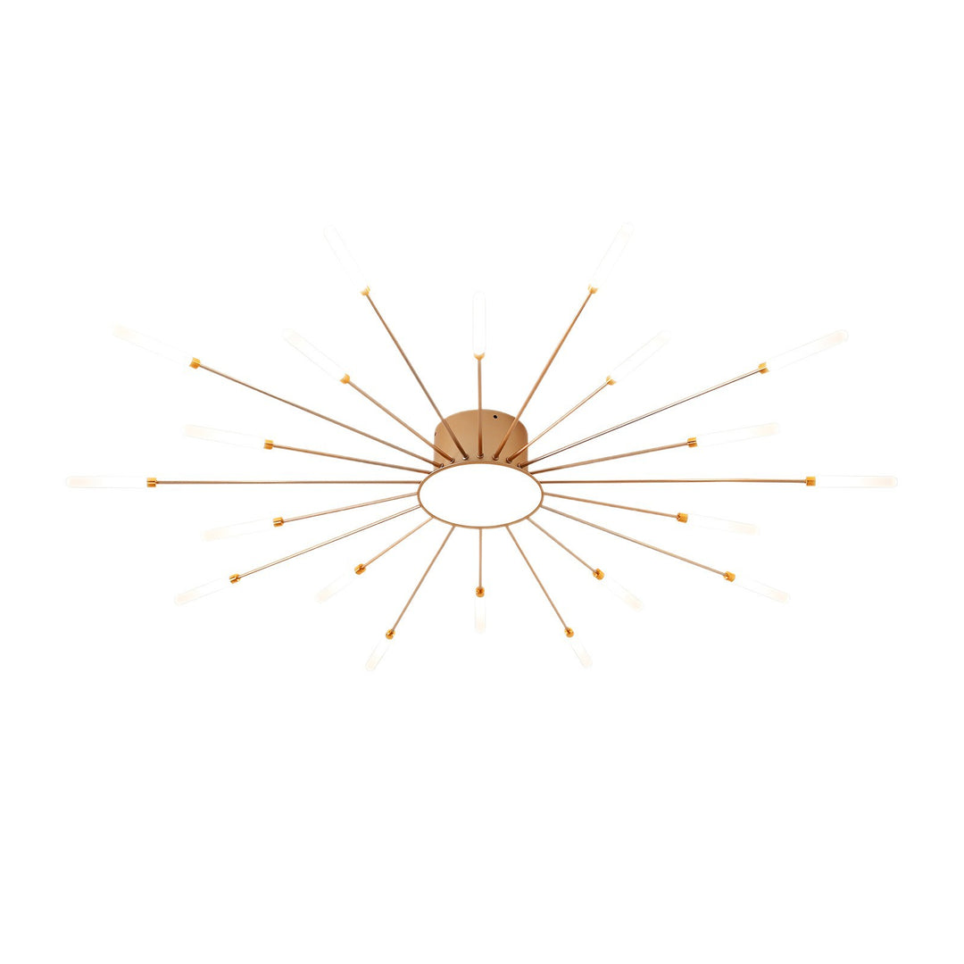 Star Explosion Style Ceiling Light