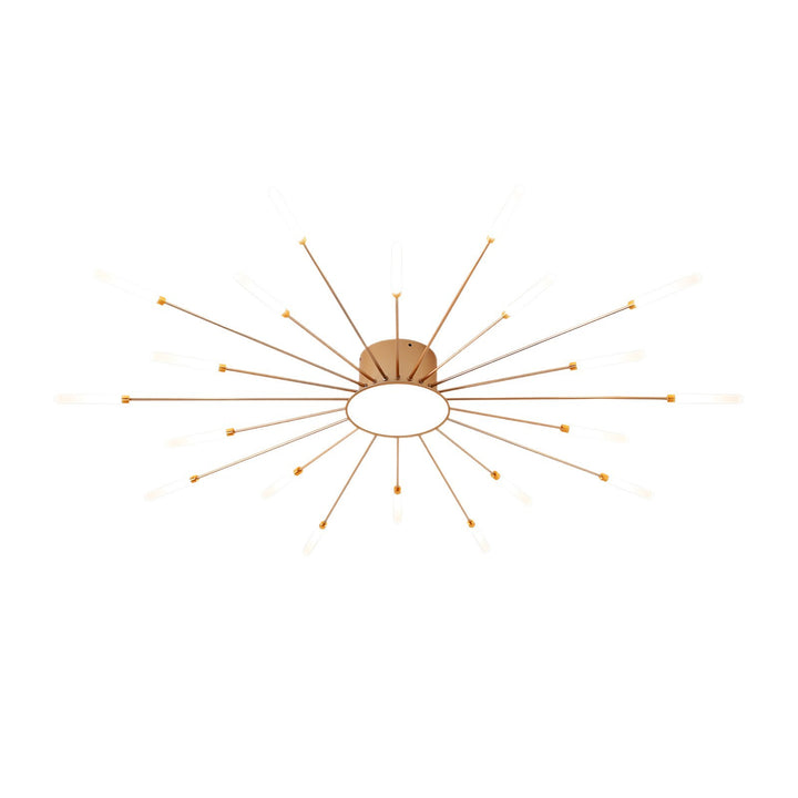 Star Explosion Style Ceiling Light