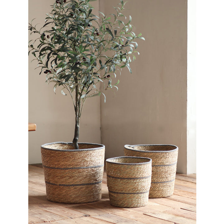 Plant basket