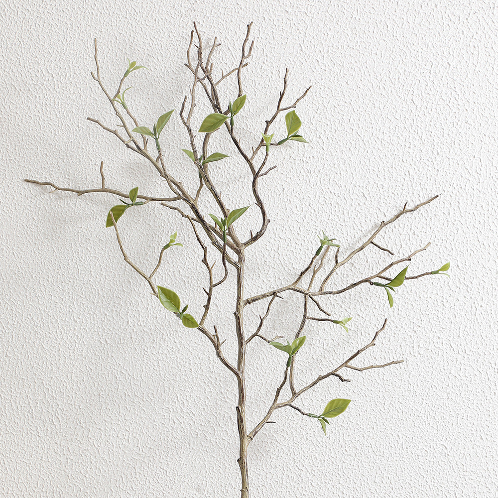 Decorative art branch with natural leaves