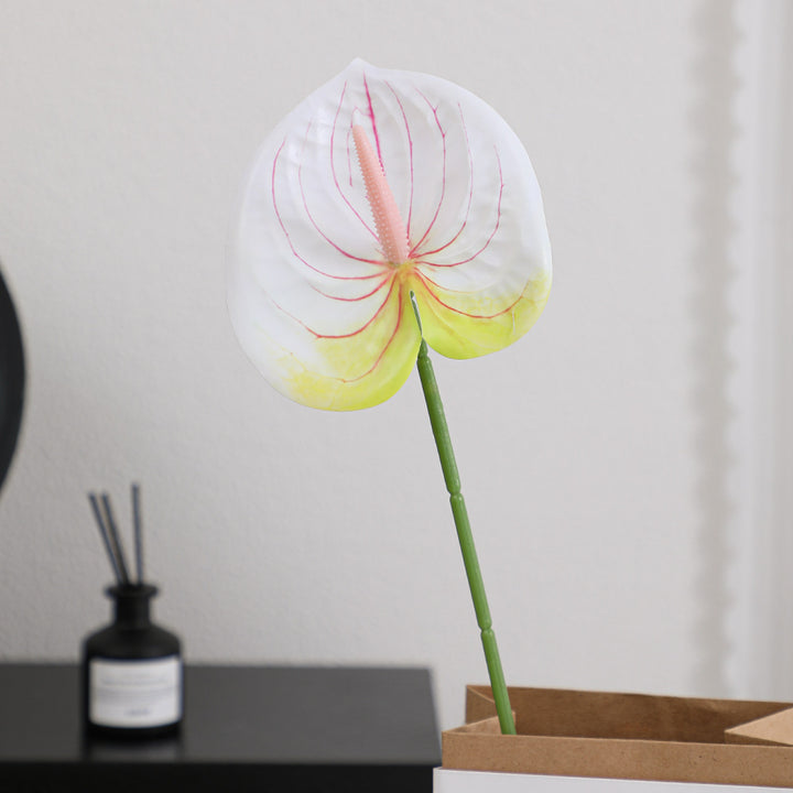 Elegant artificial orchid with delicate flowers