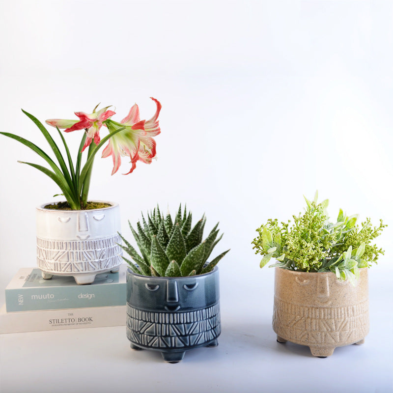 Decorative plant pot with facial features