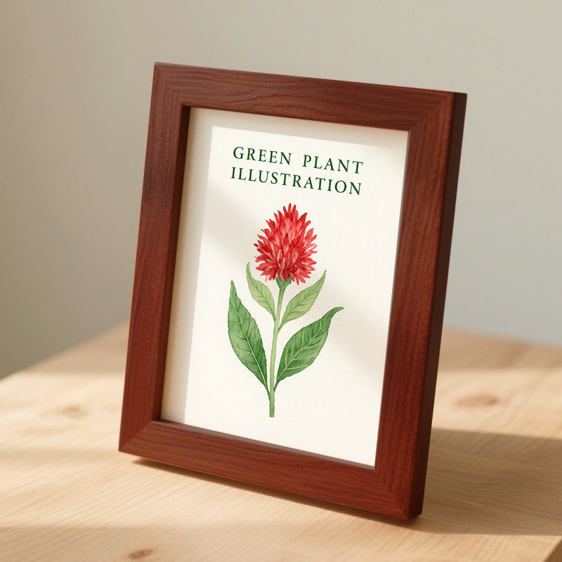 Framed Botanical Illustration Art