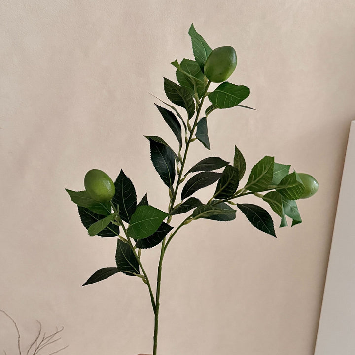 Artificial Lime Branch