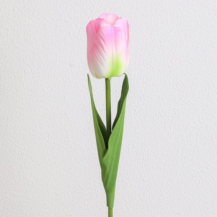 Decorative Art Tulip