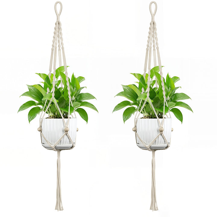 Plant Hanging Pot