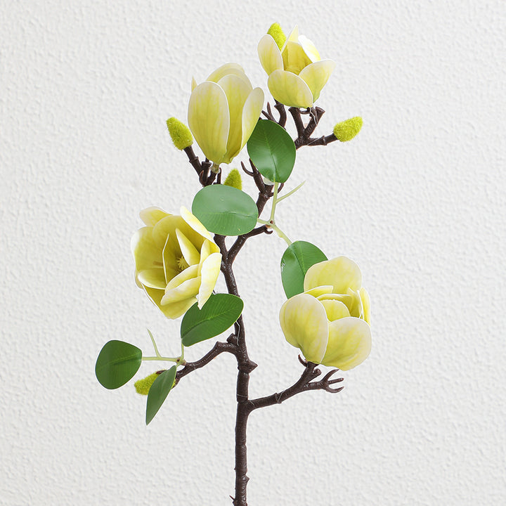 Decoration item Magnolia branch