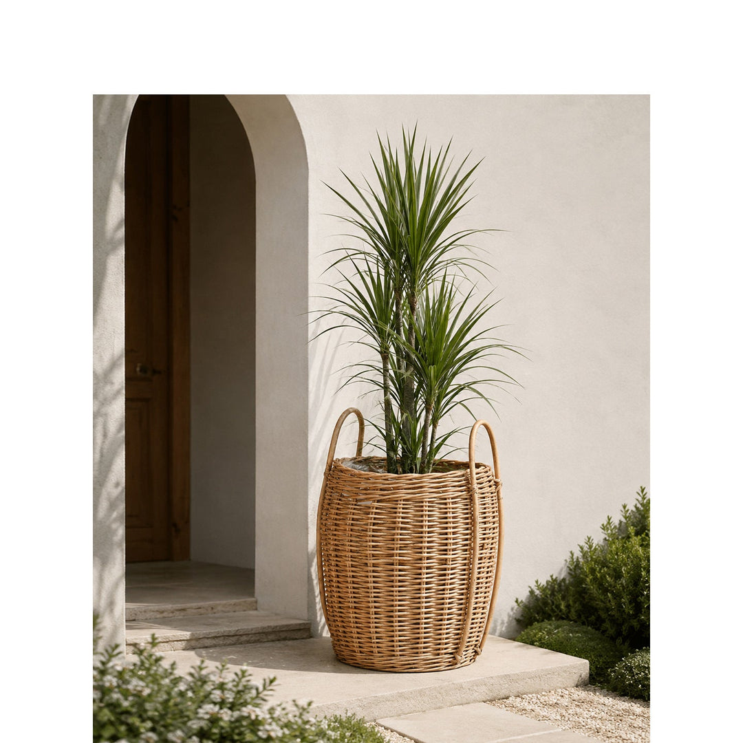 Practical storage basket