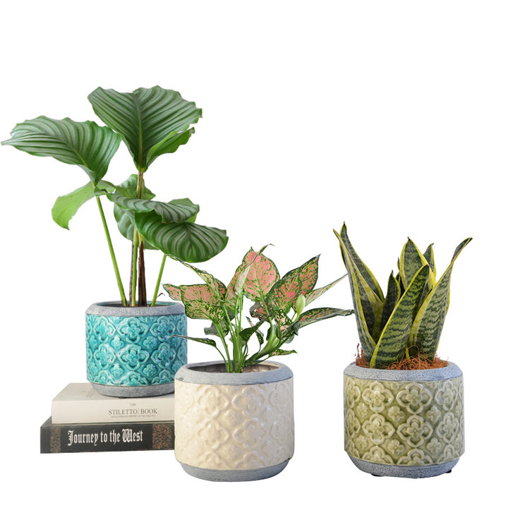 Flower pot