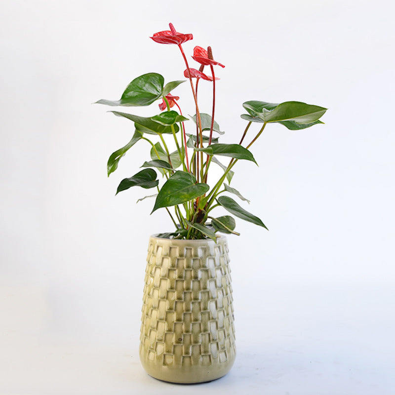 Decorative Flower Pots